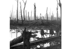 Foto Campo de batalla de la I guerra mundial