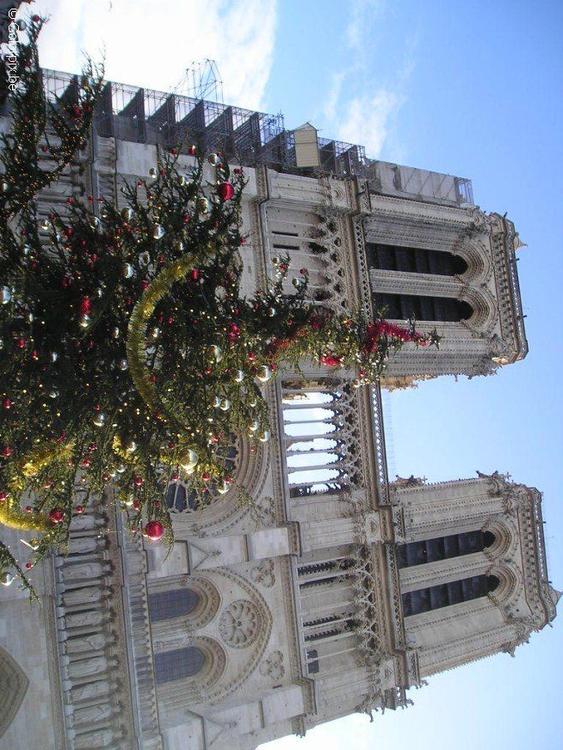 Catedral de Notre-Dame en ParÃ­s en Navidad