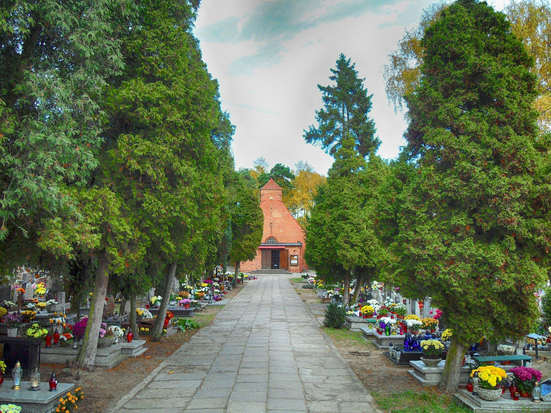 Foto cementerio