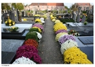 Fotos Cementerio
