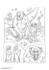 Dibujo para colorear ChimpancÃ©