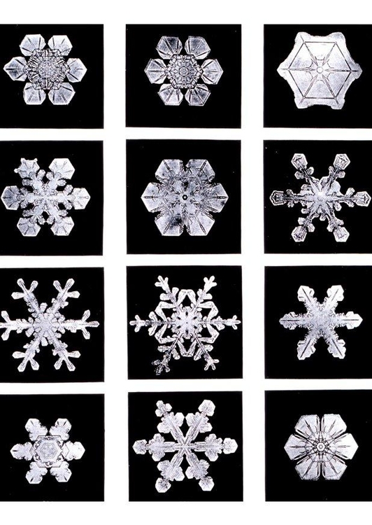 Foto Cristales de nieve