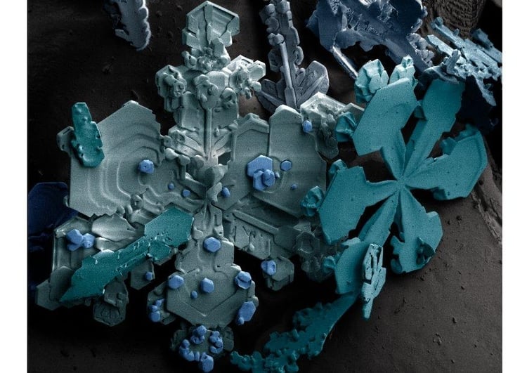 Foto Cristales de nieve en un microscopio