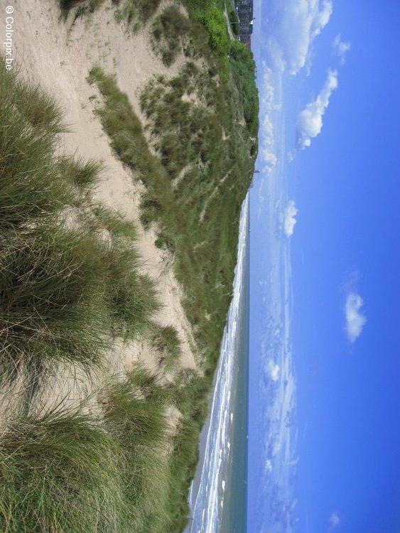 Dunas en la costa