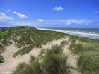 Dunas en la costa