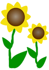 Imagen girasoles