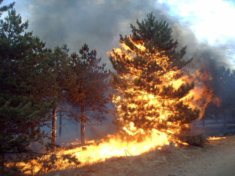 Foto incendio