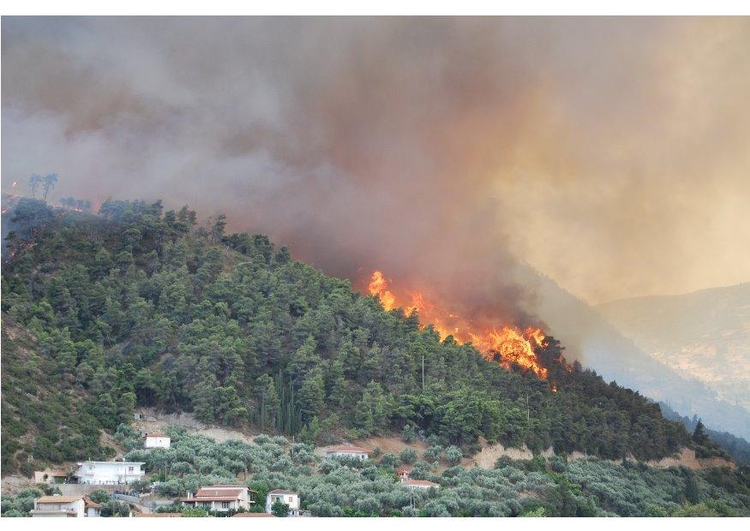 Foto Incendio forestal