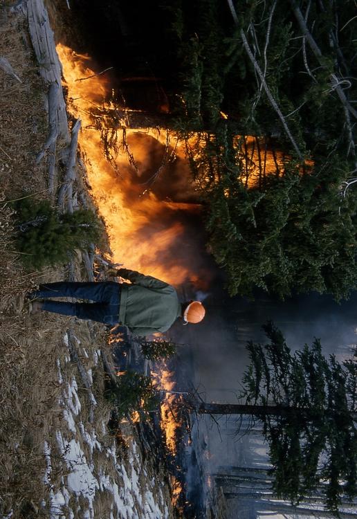 incendio forestal