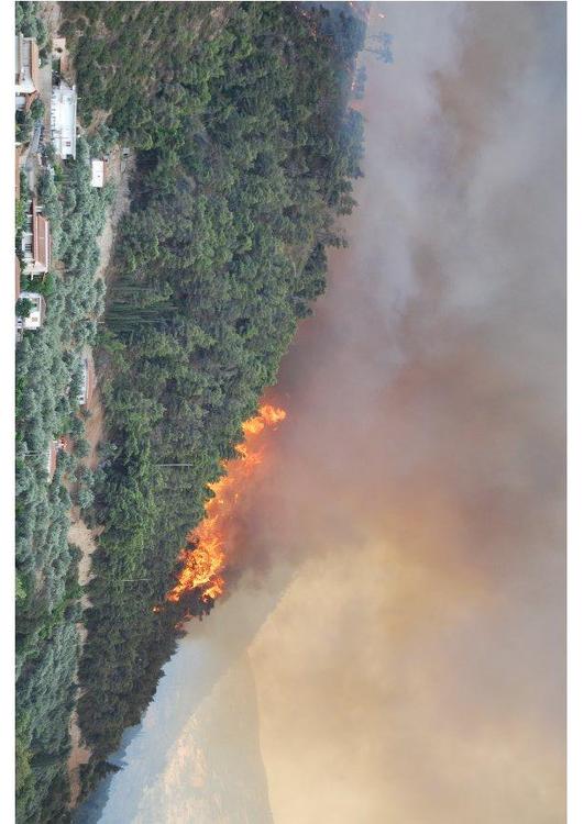 Incendio forestal