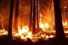 Fotos incendio forestal