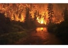 Fotos Incendio forestal