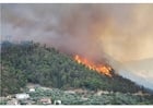 Fotos Incendio forestal