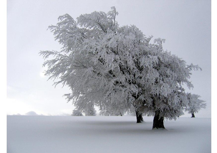 Foto Invierno