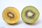 Kiwi verde y amarillo