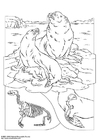 Dibujo para colorear león marino