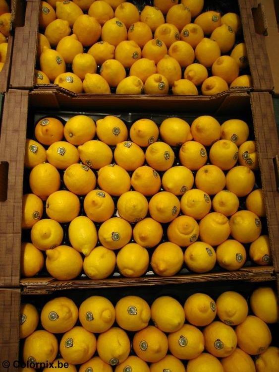 Limones