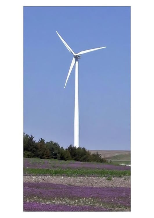 Foto Molinos de viento