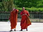 Fotos monjes