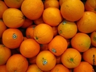 Fotos Naranjas