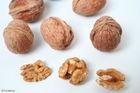 Nueces