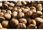 Nueces