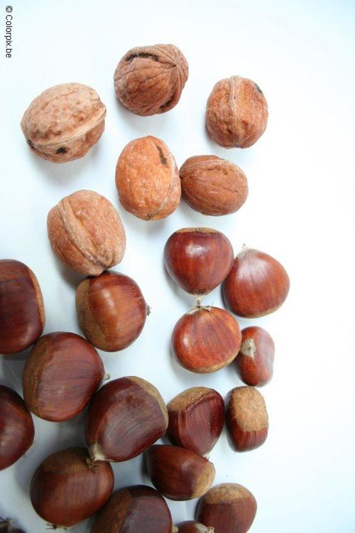 Nueces y castaÃ±as