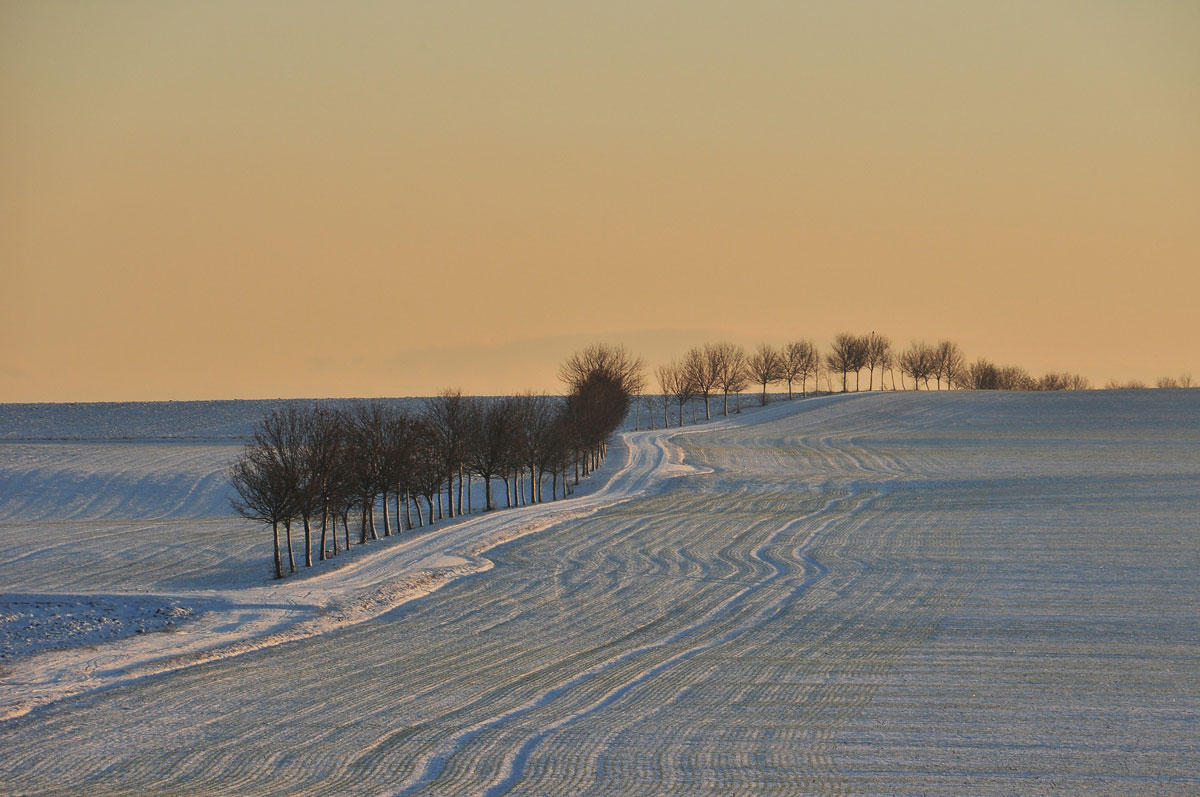 Foto paisaje invernal