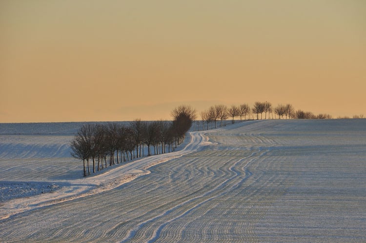 Foto paisaje invernal
