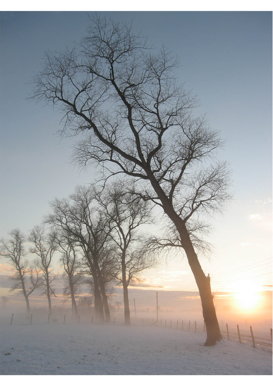 Foto Paisaje invernal