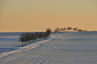 paisaje invernal