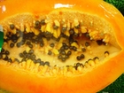 papaya