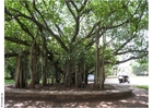 Foto Parque Ghandi, Museo de Puna