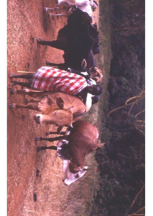 Pastor en Kenia