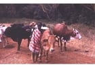 Pastor en Kenia