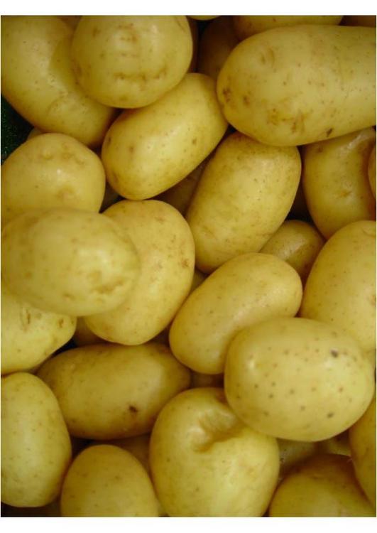 Patatas