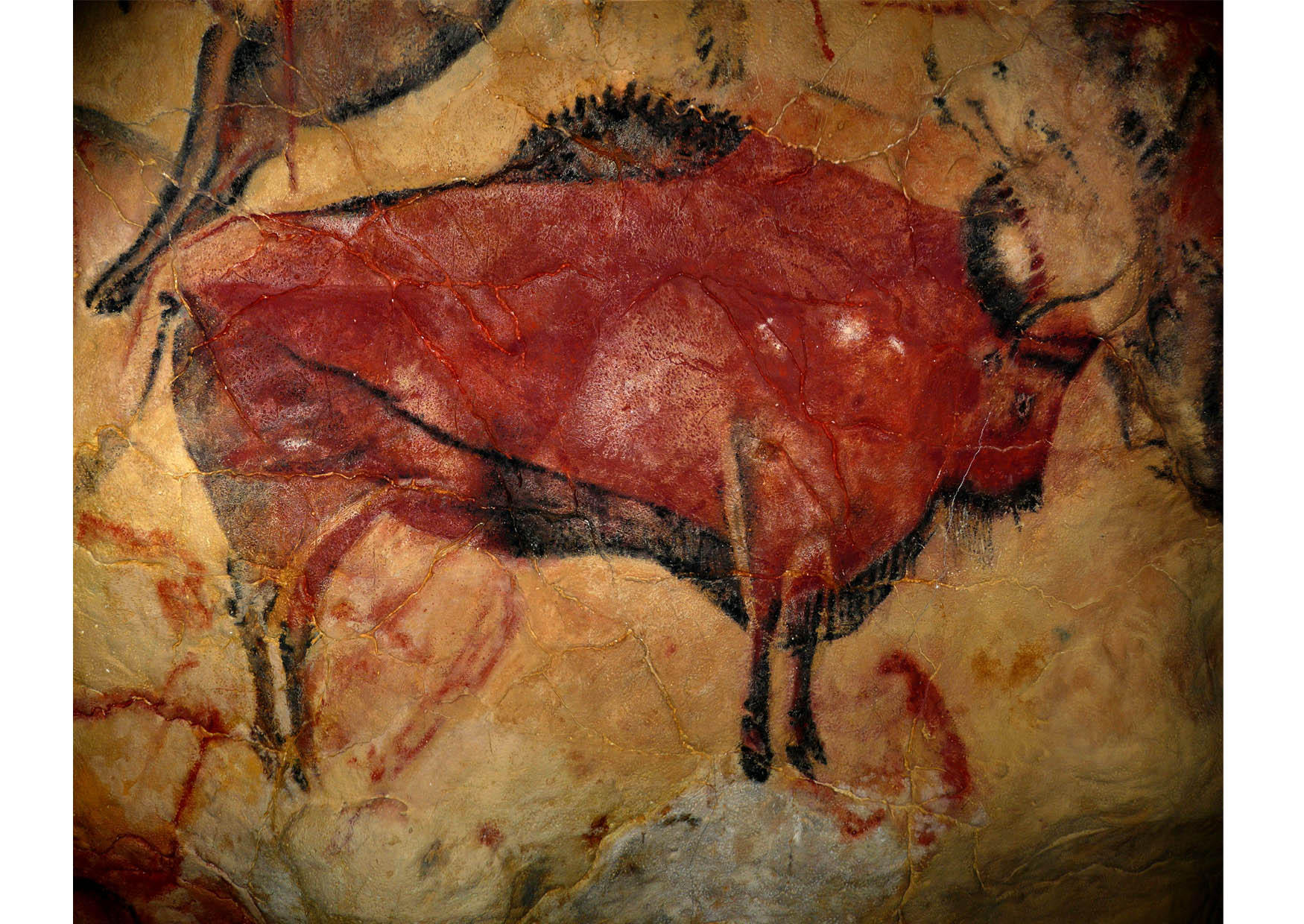 Foto pintura prehistÃ³rica - bisonte