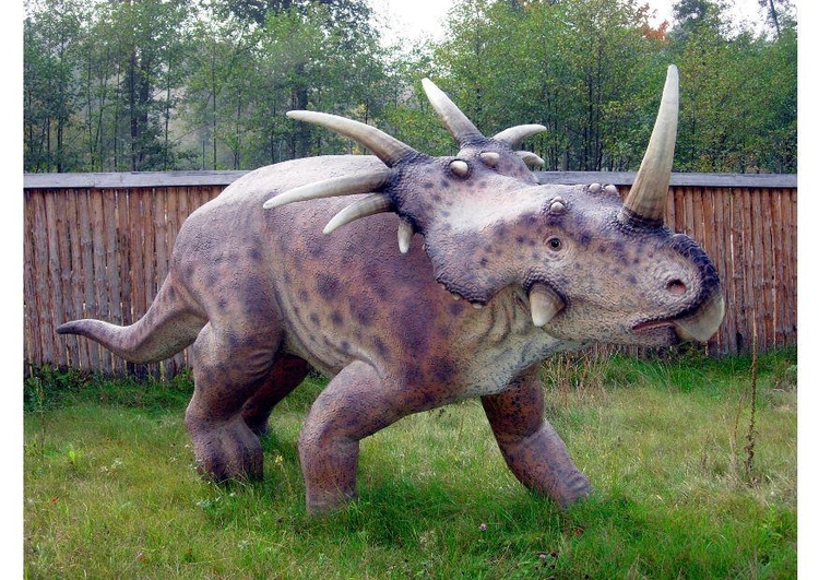 Foto RÃ©plica de styracosaurus