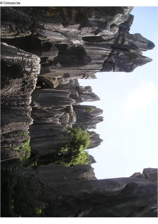 Selva de piedra Kunming