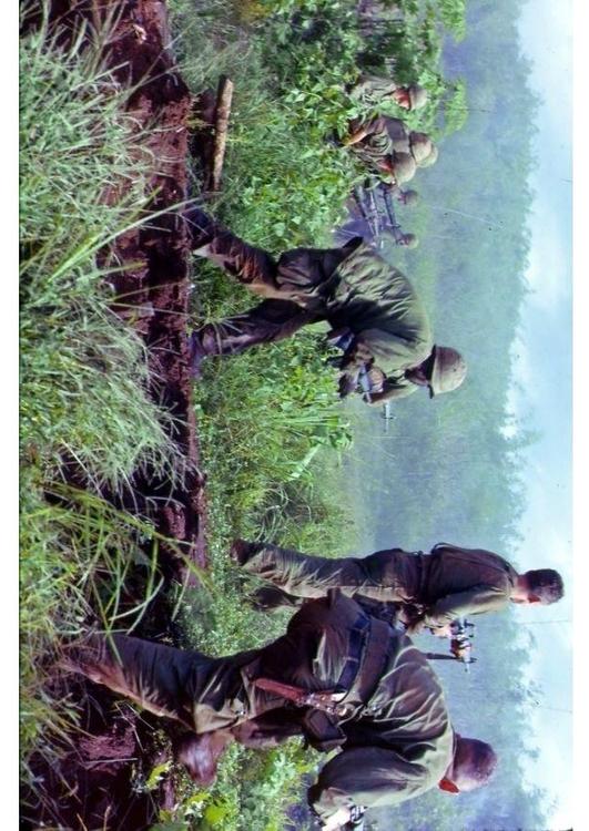 Sur de Vietnam