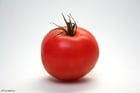 Foto Tomate