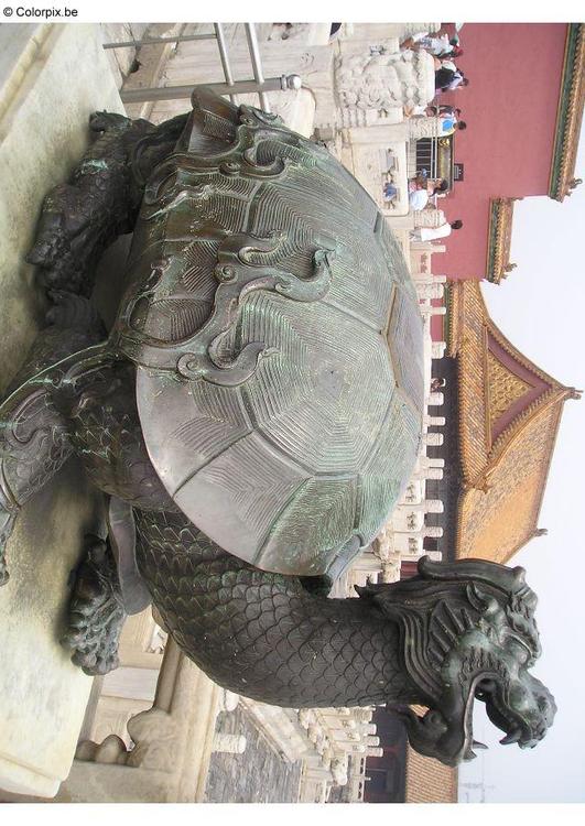 Tortuga