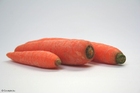 Fotos Zanahorias