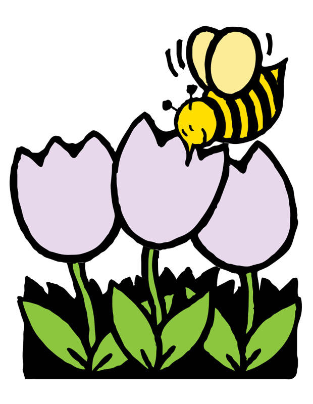 Imagen abeja y tulipanes 