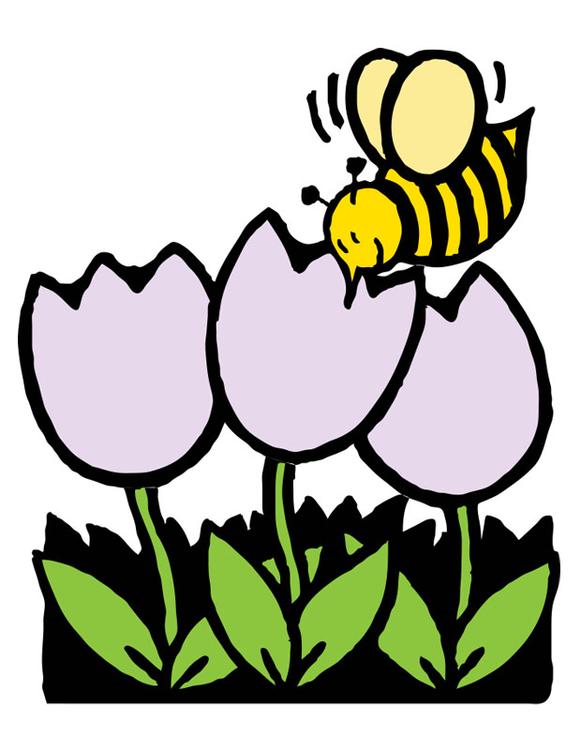 abeja y tulipanes