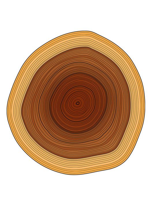 Imagen anillos de Ã¡rbol
