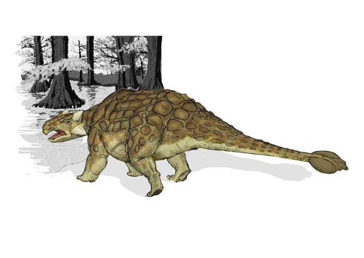 Imagen Ankylosaurus