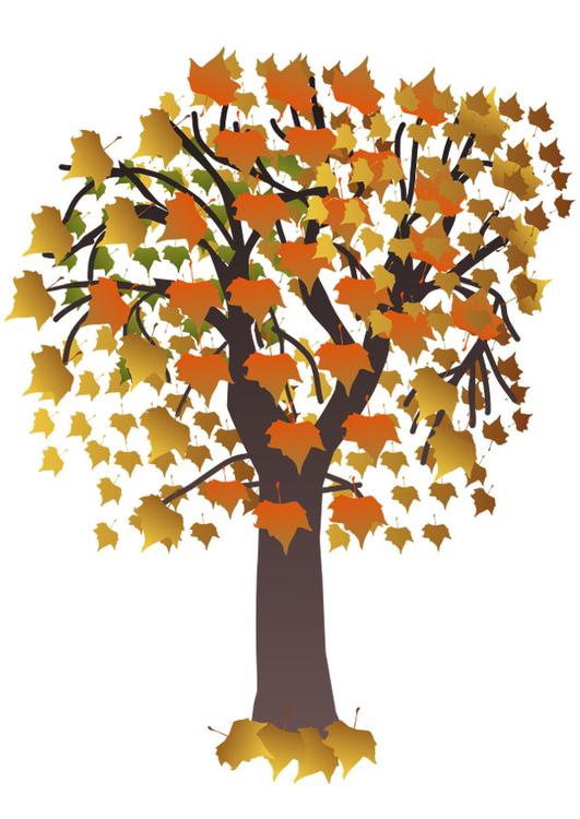 Ã¡rbol en otoÃ±o