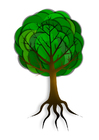 árbol