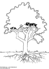 Dibujo para colorear Ãrbol